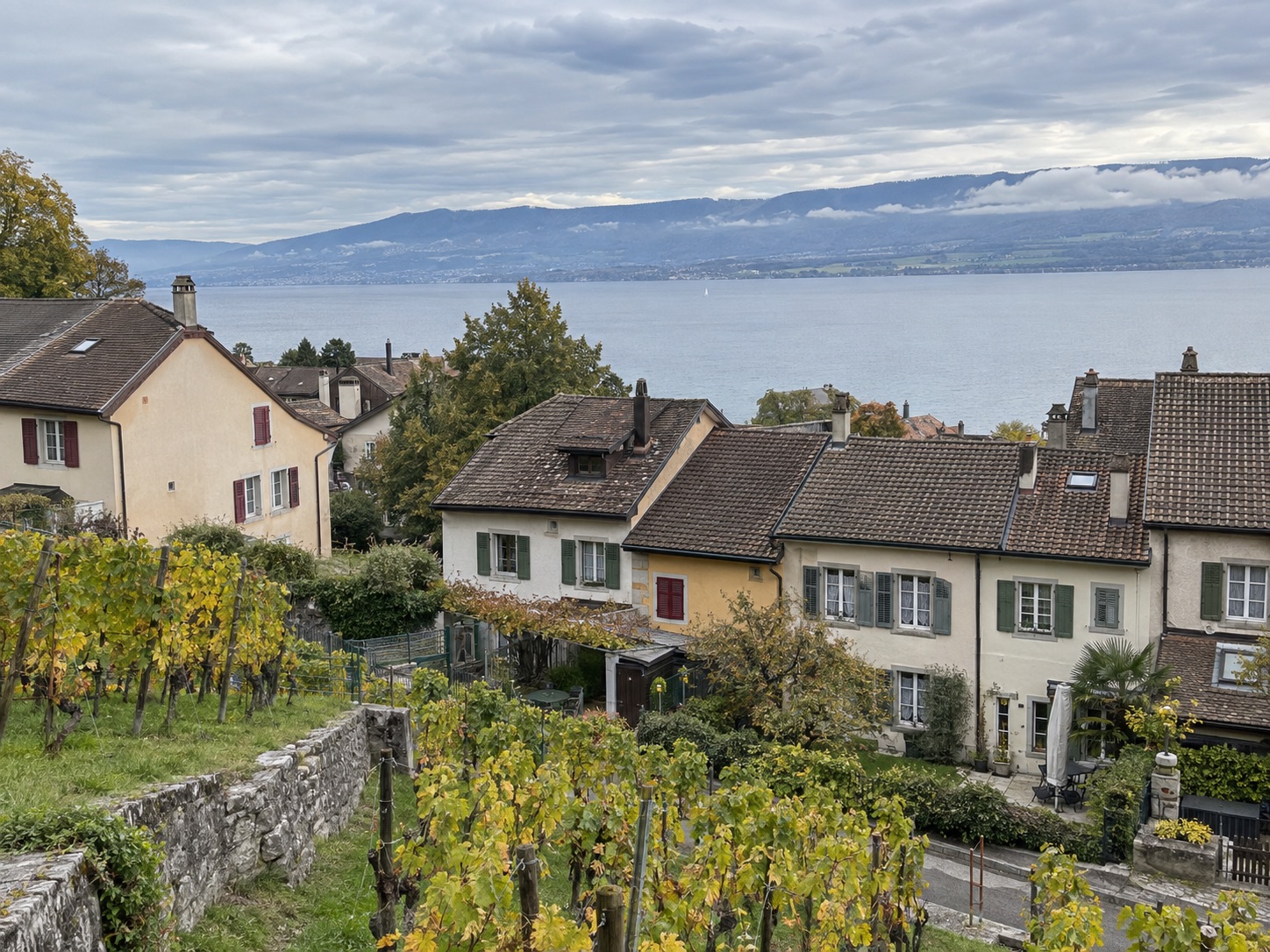 Haus bei den Weinbergen mit Seeblick — Weinberge im Vordergrund, See im Hintergrund